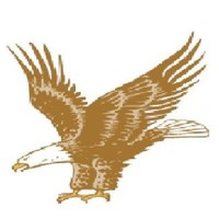 Martin Eagle