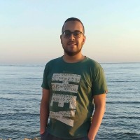 Moamen Elsayed