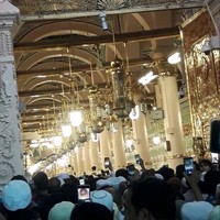 محمد اليافعي
