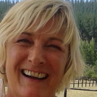 JUDI VOERMAN