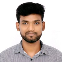 Vignesh K