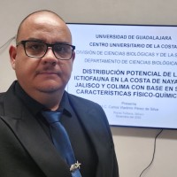 Carlos Vladimir Perez de Silva