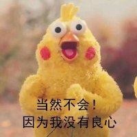 秦子伟