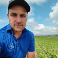 Flavio Gilberto Picua