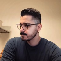 Mr. Hans Hauser Bosch