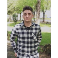 Sergiu Negrus
