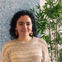 Udane Alfonso Ibarguren