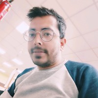 Rakesh Kapoor