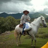 Juan Mena Hernandez