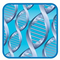 DNA Paternity Testing Centers