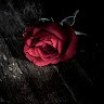 Rehman Ashraf
