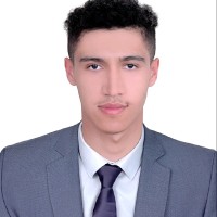 Walid Elamri