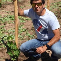 Marcello Grossi