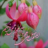 reza GH