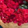 Suhira Anwer