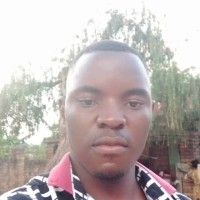 Kato Arnest