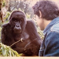Richard Natoli-Rombach