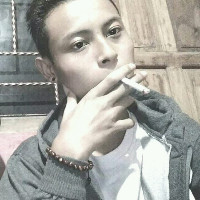 Budi Hartono