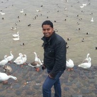 Amit Bindal
