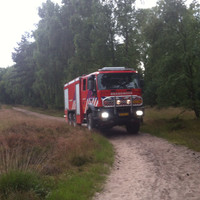 Erald Willems