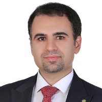 salman seyedin