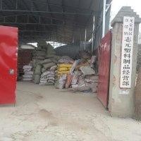 杨志元