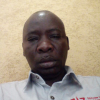 Elton L. Mizinga