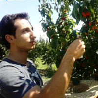 Taha Hüseyin Özbabuccu