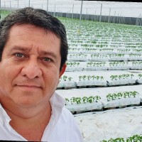 Fredy Arita