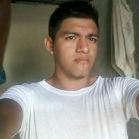 David Vinces