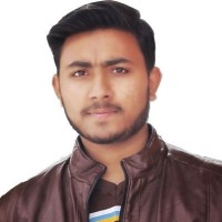Muhammad Hamza Bhatti