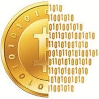 Crypto Guy