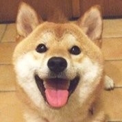 张宝宝