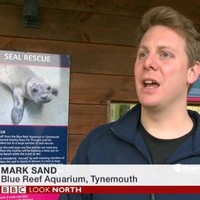 Mark Sand