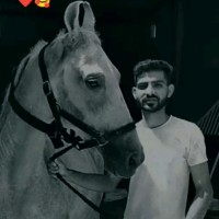 Sunil Sain Sain