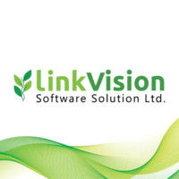 LinkVision Software Solution LTD