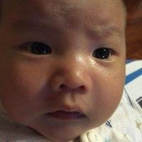 赵海见