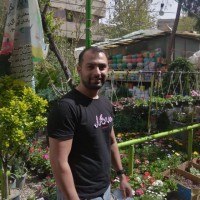 Iman Ebrahimi