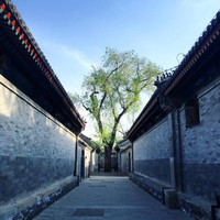 Lei Sun