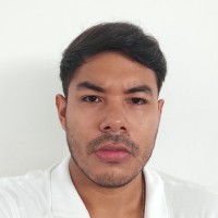 Daniel Andres Torres Camargo