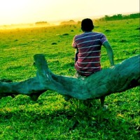 GILSON DIAS DE OLIVE OLIVEIRA