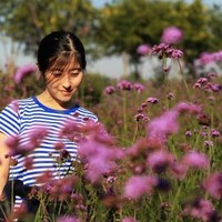 Clara Sun