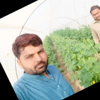 Muhanmad Ijaz