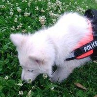 郝佩佩