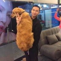 宋子文
