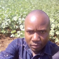 Martin Wendo