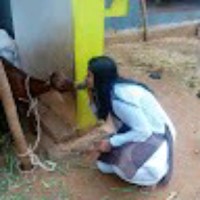 Gowthami Gowthu