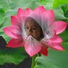 Thangam J3