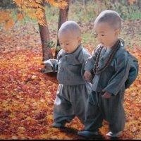 杨登庆