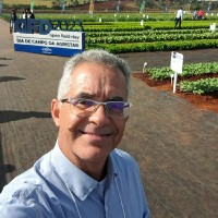 Marcos Luiz J S Vieira